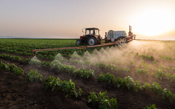 Best Commercial Pest Control Services  in Lake Vla, IL