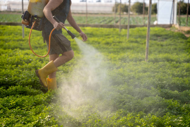 Best Pest Prevention Services  in Lake Vla, IL