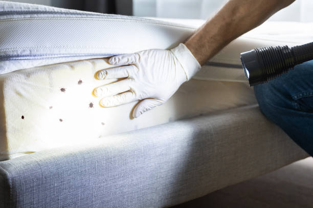 Best Exterminator Services  in Lake Vla, IL