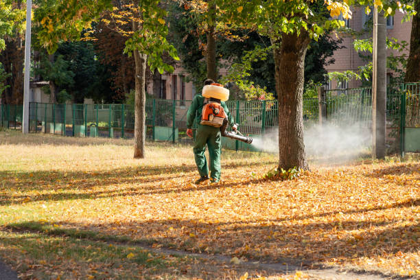 Best Residential Pest Control  in Lake Vla, IL