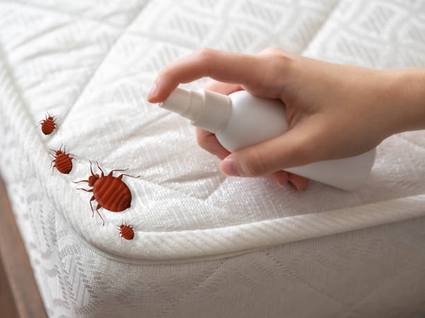 Best Emergency Pest Control  in Lake Vla, IL
