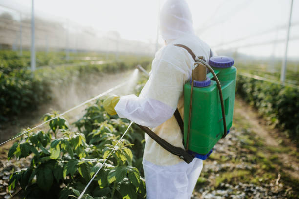 Best Wasp Removal Services  in Lake Vla, IL